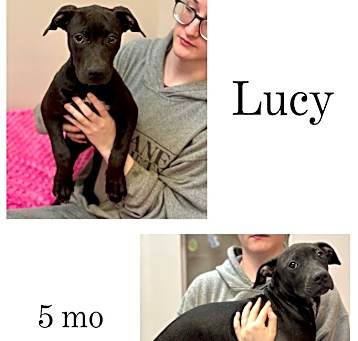 Photo of Lucy
