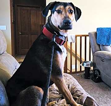 Photo of Ruby