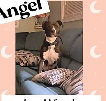 Photo of Angel