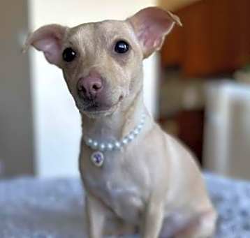Photo of Ainsley