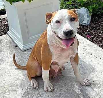 Photo of Finnley