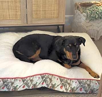 Photo of Cami