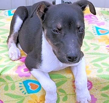 Photo of Xena