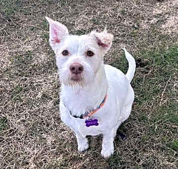 Photo of LIL CASPER