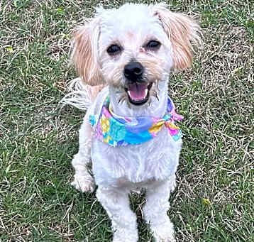 Photo of ZOEY