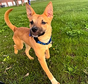 Photo of Murphy