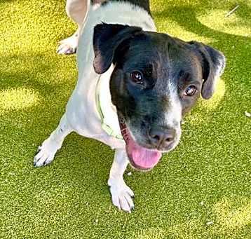 Photo of DAISY