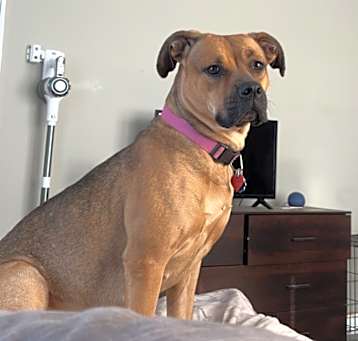 Photo of Coco