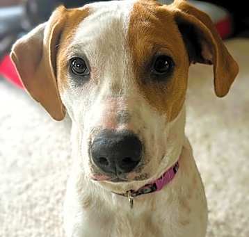 Photo of Margo