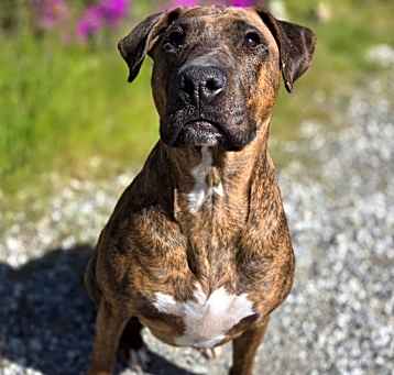 Photo of Lila
