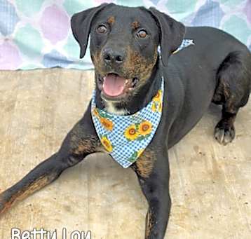 Photo of Betty Lou