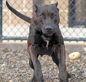 Photo of Stormy