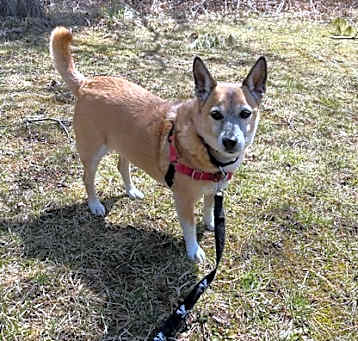 Photo of Jiggy