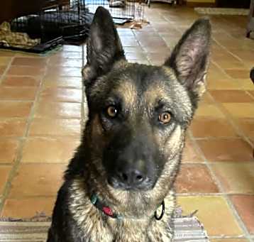Photo of Kyra