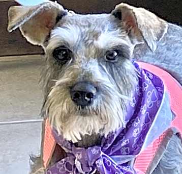 Photo of 2025-05 Tootsie