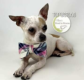 Photo of Tombstone