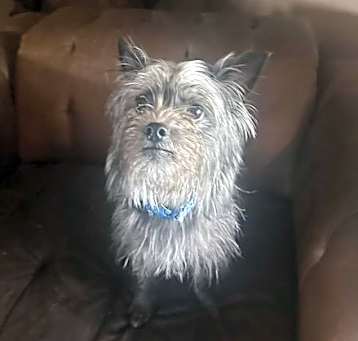 Photo of Macy