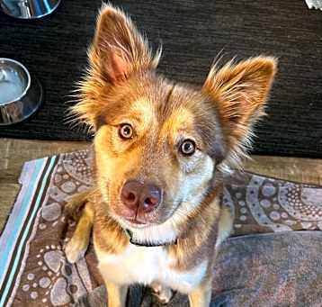 Photo of Jezebel