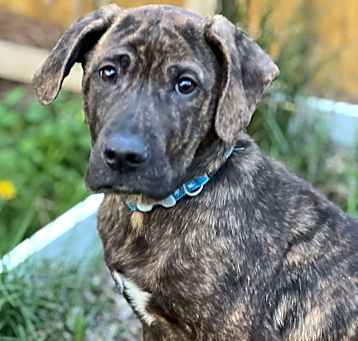 Photo of Echo