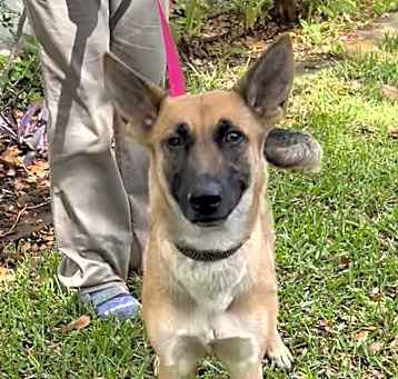 Photo of Maya