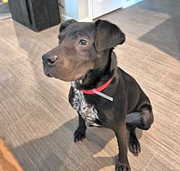 Photo of Duke
