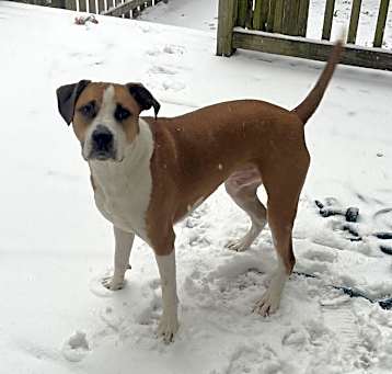 Photo of Otis