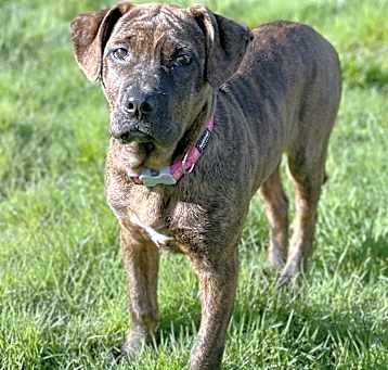Photo of Etta