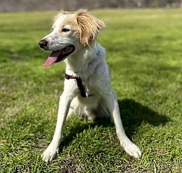 Photo of Sam