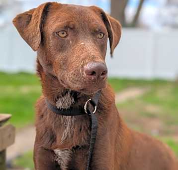 Photo of Sawyer