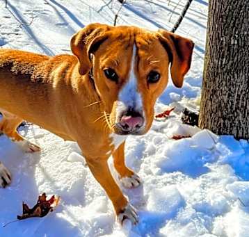 Photo of Bingo