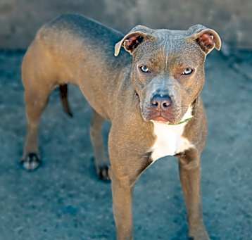 Photo of Hera