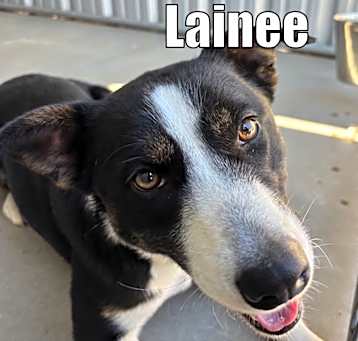 Photo of Lainee