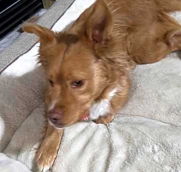 Photo of Lulu