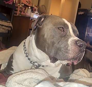 Photo of Mia