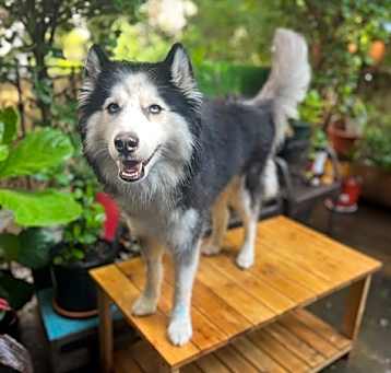 Photo of Lucy