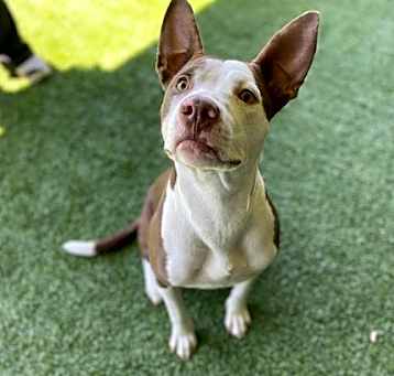 Photo of CYLA