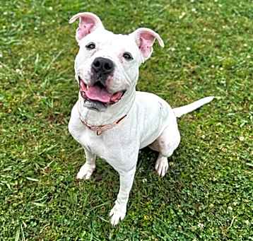 Photo of Snowflake