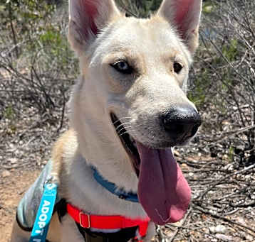 Photo of Hera
