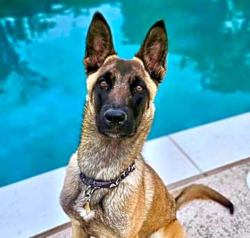 Photo of CIRCE