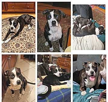 Photo of Ava