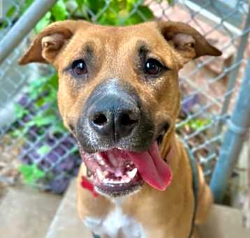 Photo of Daisy Mae