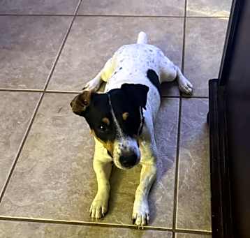 Photo of Patch