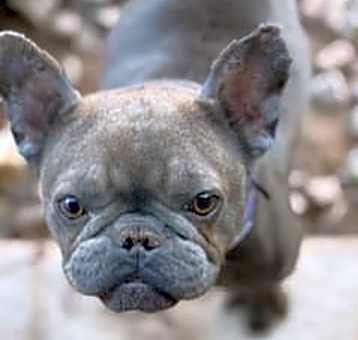 Photo of Sunnie