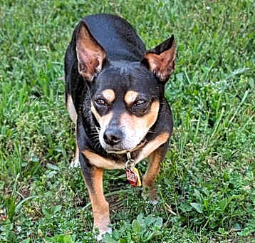 Photo of Immie