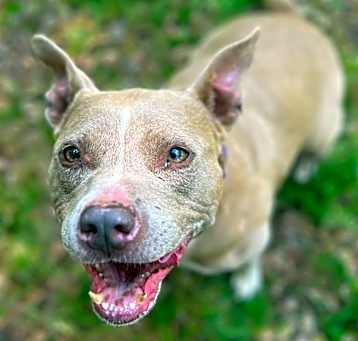 Photo of Indy