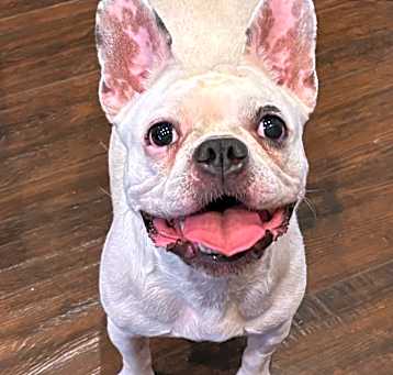 Photo of Betty