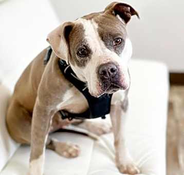 Photo of Kizzy