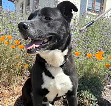 Photo of Sally