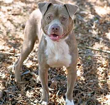 Photo of MAX