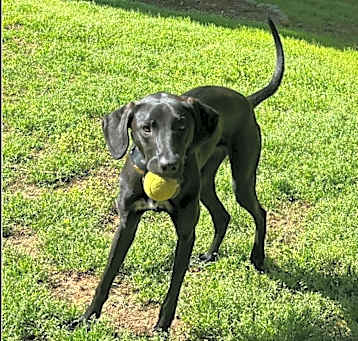 Photo of Cora